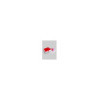 Boite Cadeau Obsessive Rouge
